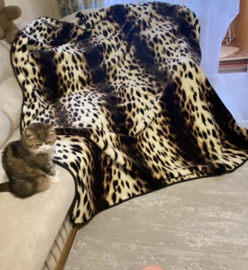 Плед/ одеяло/ покрывало