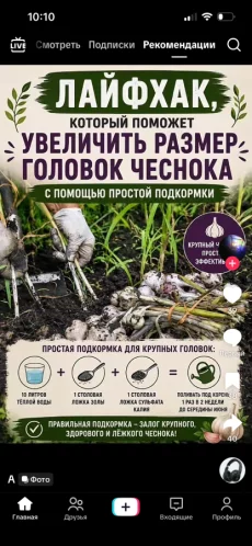 Рампа для легкового автомобиля