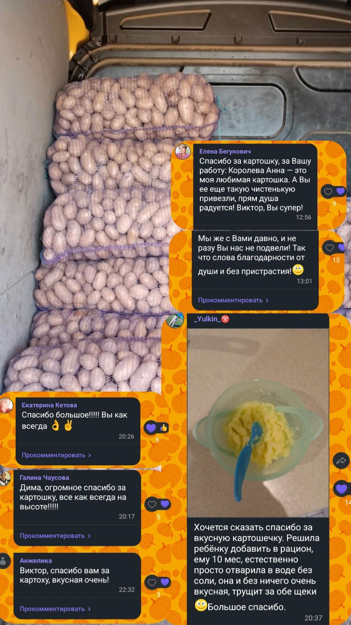 Картофель деревенский