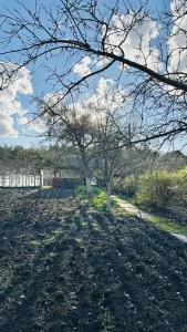 Дача в СТ «Радуга» 2км от Бобруйска