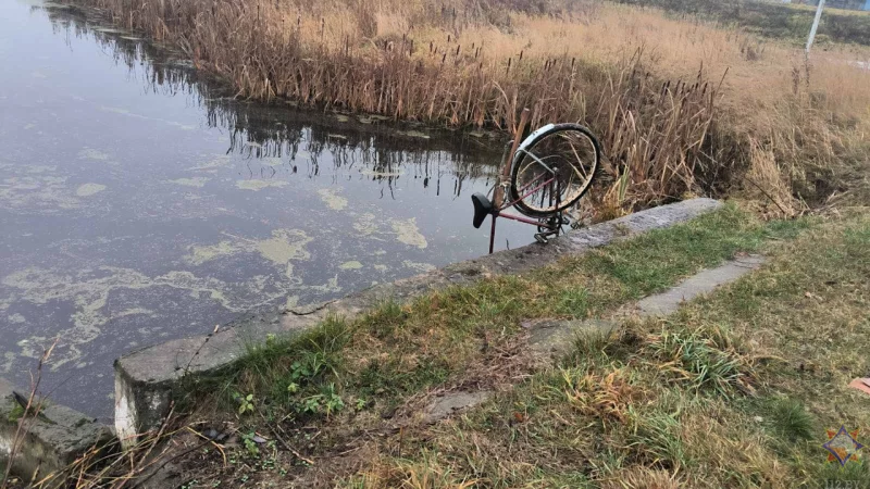 В Могилевской области пенсионер упал с велосипедом в реку и утонул