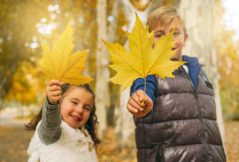 Детская безопасность на каникулах: Почему взрослым нельзя терять бдительность?
