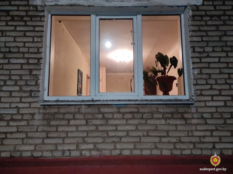 Судебные эксперты Бобруйска установили соучастника и инициатора преступления, пока потерпевший находился в медвытрезвителе