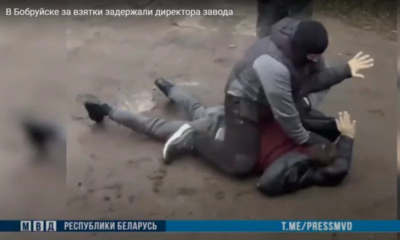 В Бобруйске за взятки задержан директор предприятия