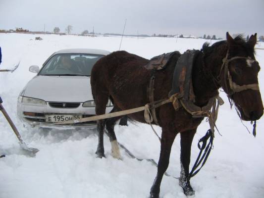 Диалог на экзамене.