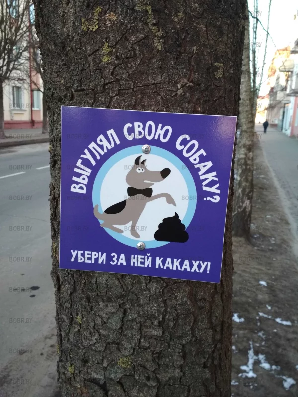 Напоминалка