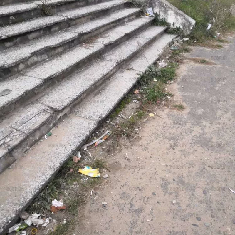 Здесь срочно нужен дворник