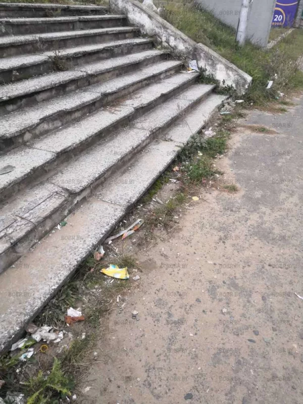 Здесь срочно нужен дворник