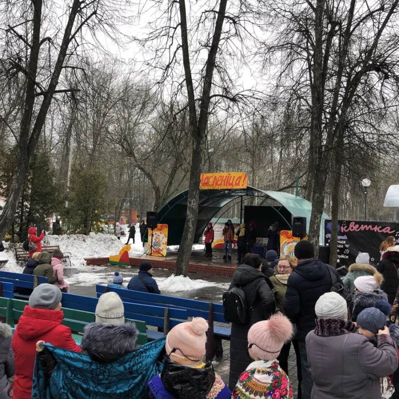 Масленица в парке