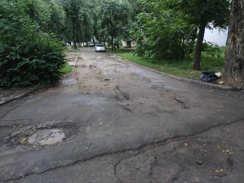 Бобруйские дворы прекрасны, с огромными ябмами и мешками мусора под деревом.