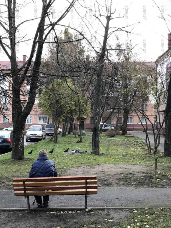 Дворик
