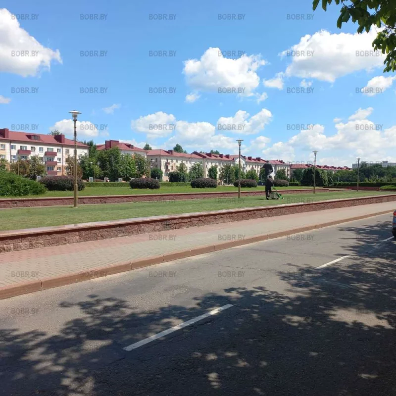 То, единственное место в городе, где газон СТРОГО не выше 5 см