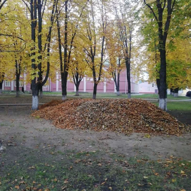 Ждём зиму... 