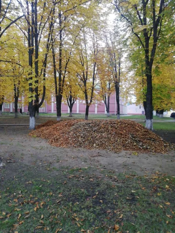 Ждём зиму... 