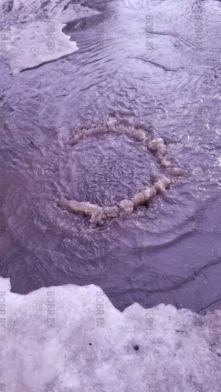 Вода бьет из люка. И так много-много лет!