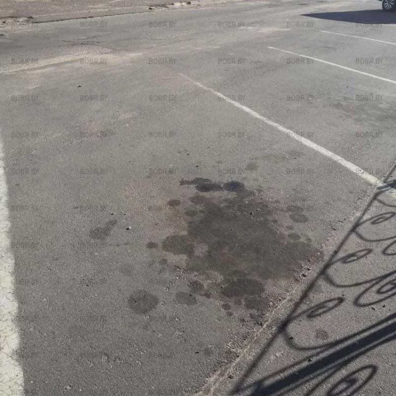 Следите за техническим состоянием своих автомобилей, масло не красит осфальт... 
