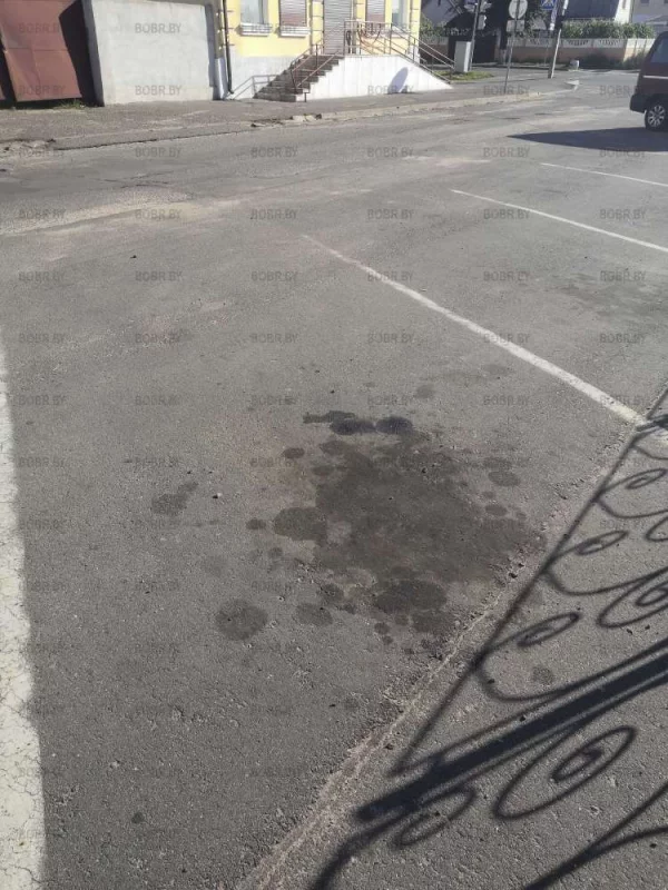 Следите за техническим состоянием своих автомобилей, масло не красит осфальт... 