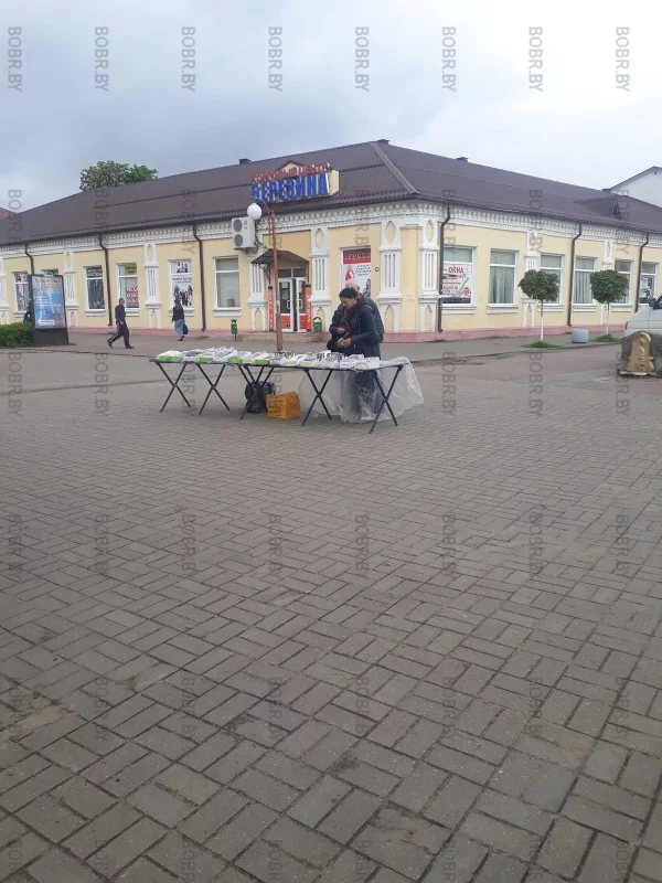 Магазин Оптика