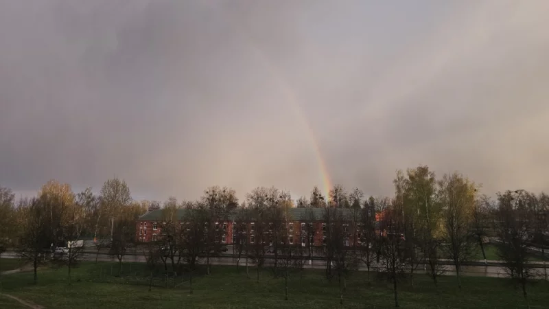 Дожь+солнце = радуга