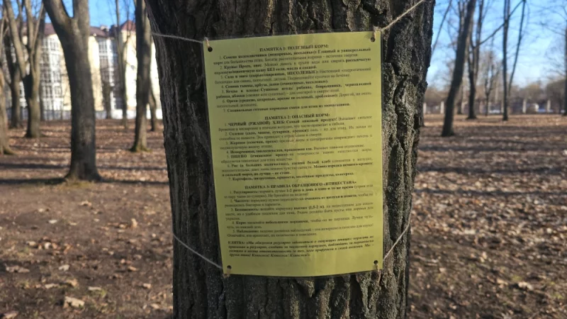 В парке повесили кормушки и памятку, чем кормить птиц