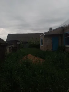 Кирпичный дом в деревне Бирча
