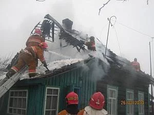 Пожары за неделю с 22 по 28 февраля 2010 года