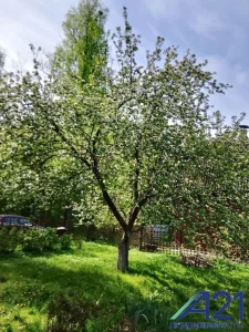 Двухэтажная дача в 7 км от Бобруйска