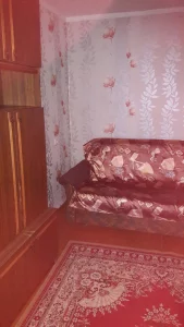 1-комн.квартиру (хрущевка) в районе роддома