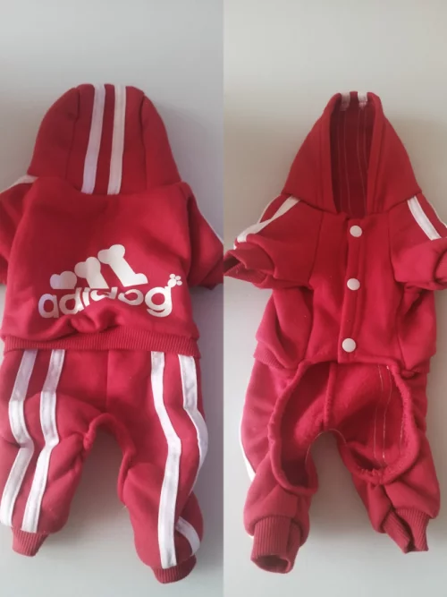 Комбинезон для собаки