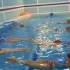 Тренер по плаванию. Инструктор