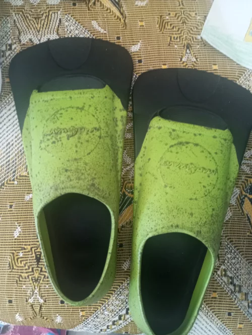 Прам колобашку и ласты