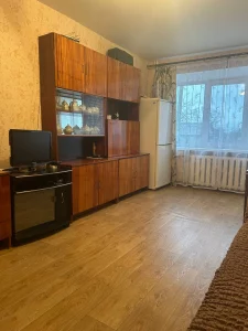Трехкомнатная квартира в д. Каменка