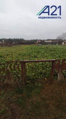 Участок 8 соток в популярном районе Доманова