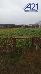 Участок 8 соток в популярном районе Доманова