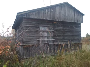 Дом -дачу (почти даром)