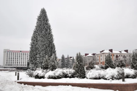 Что изменится с 1 февраля: от повышения пенсий до отмены комиссий в ЕРИП