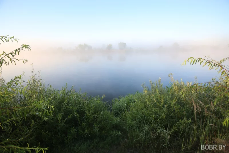 В Беларуси отмечается понижение уровня воды в реках
