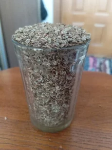 Укроп и кориандр