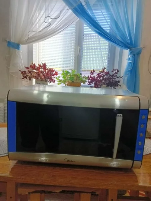 СВЧ Мидэя
