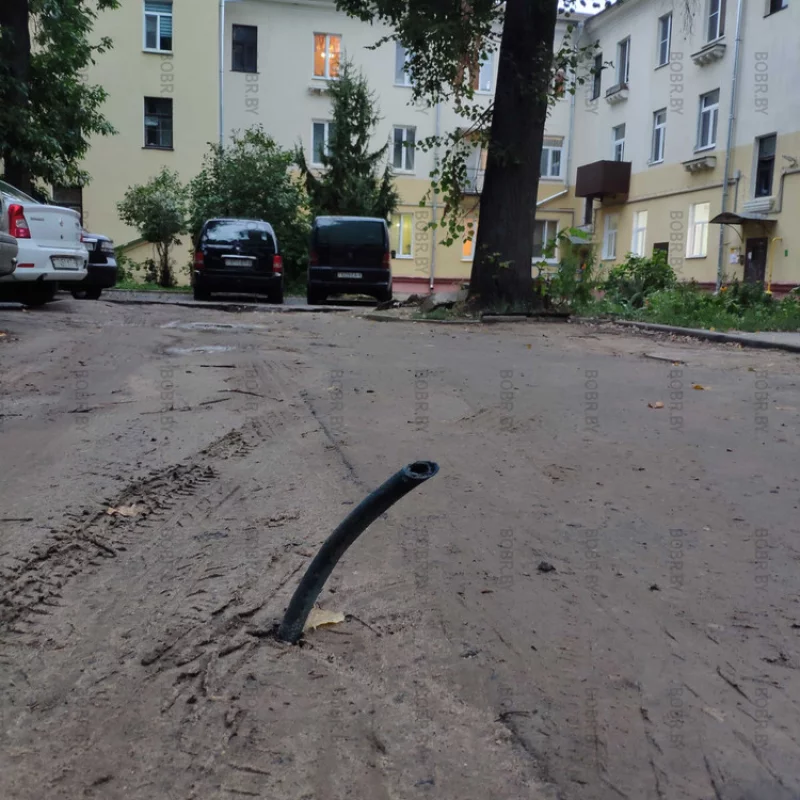 Весной из земли появляются подснежники, а в конце лета в Бобруйске из под земли вылазят трубы.