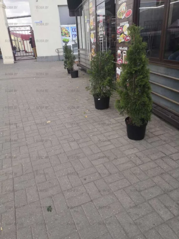 Красивый интерьер уличного кафе