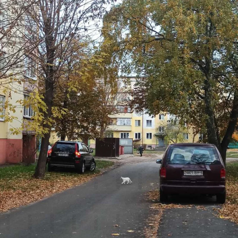 Комбо-парковка