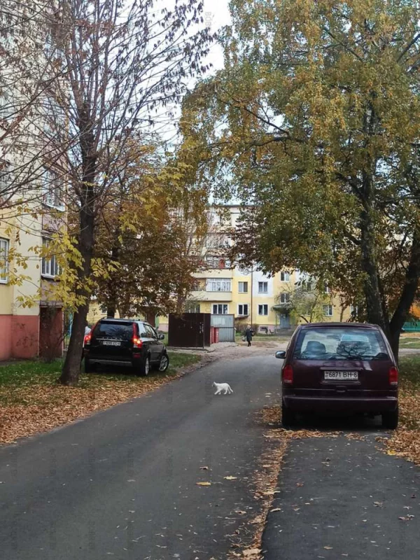 Комбо-парковка