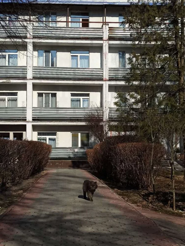 Главный котик санатория им. Ленина