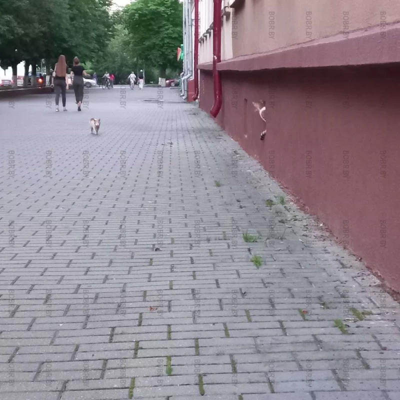 Заходи