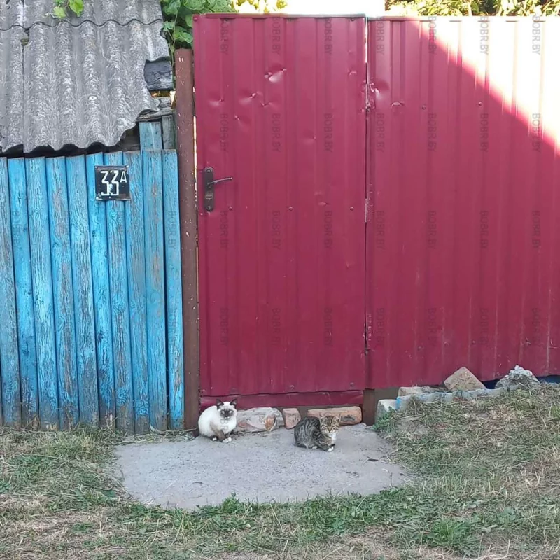 Что надо, дядя?
