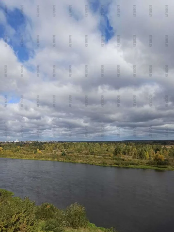 Осень красит город и деревья
