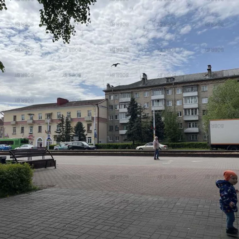 Минская осталась ёлочек 