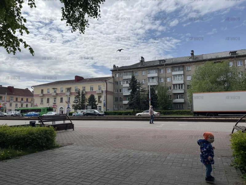 Минская осталась ёлочек 