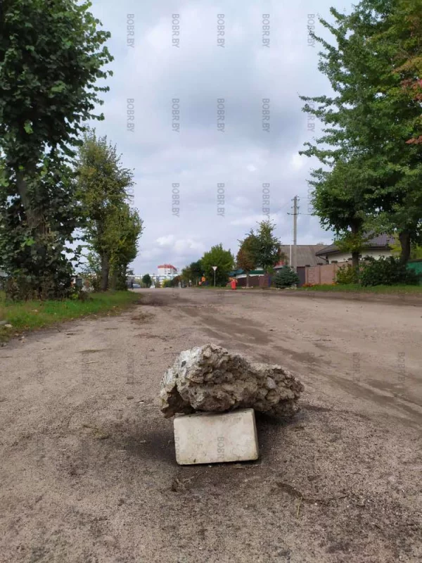 Главное: в ночи заметить на дороге